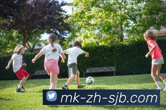 MK中文，MK中文，MK官网，MK平台入口，MK APP服务体系